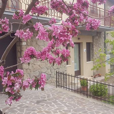 La Casina Di Nonna Giulia Apartment กัสตีลีโยเน ดิ ออร์ชา ภายนอก รูปภาพ
