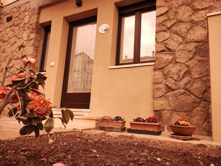 La Casina Di Nonna Giulia Apartment กัสตีลีโยเน ดิ ออร์ชา ภายนอก รูปภาพ
