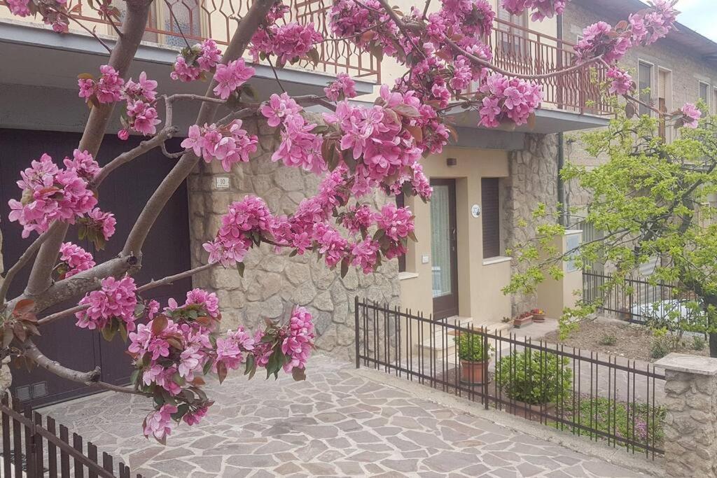 La Casina Di Nonna Giulia Apartment กัสตีลีโยเน ดิ ออร์ชา ภายนอก รูปภาพ